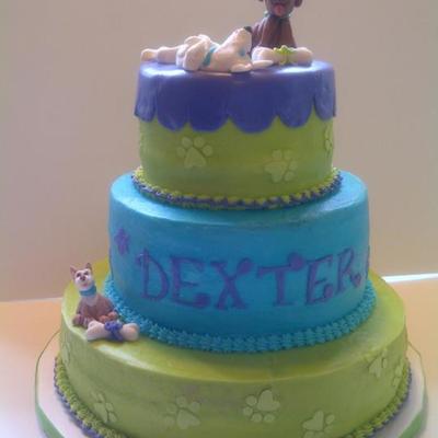 Dexter's Birthday Cake