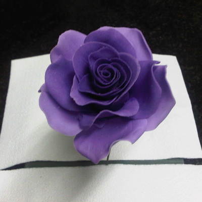 My First Rose I Made