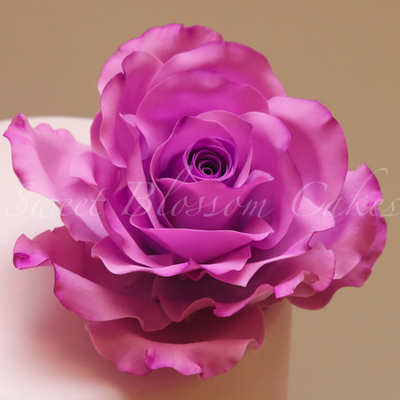 Sugar Paste Rose