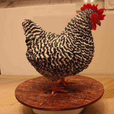 My Plymouth Rock Chicken Cake The Chook Is Made From A 9 And 8 Round Butter Cake And I Moulded Each Of The Feathers From Fondant And Pain