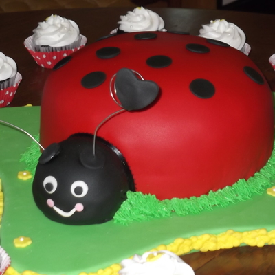 Ladybug Theme Cake