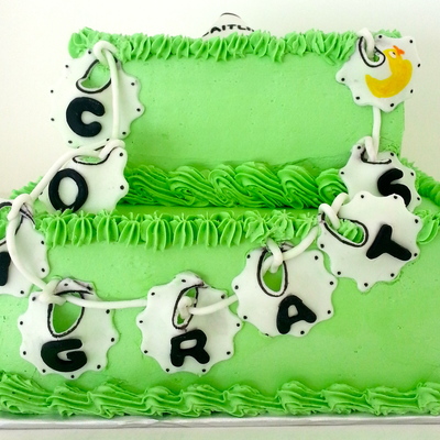 Clothesline Bib Cake