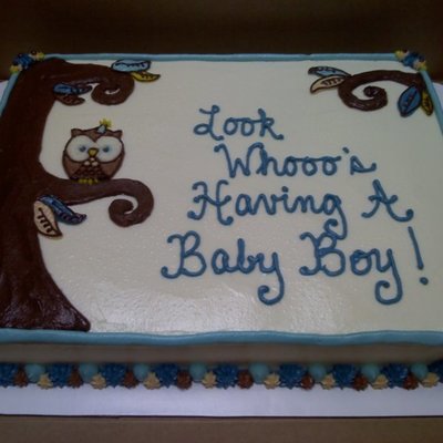 Look Whoooo's Having A Baby Boy