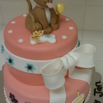 My First Fondant / Gumpaste Cake