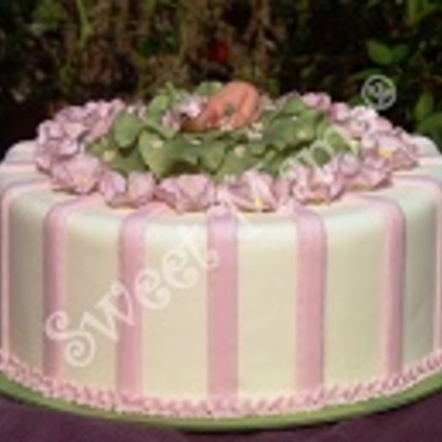 A New Girl Is Coming!