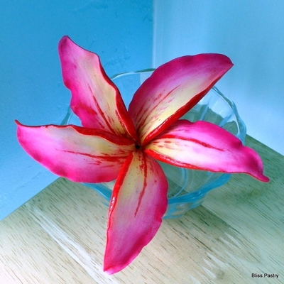 Vibrant Plumeria