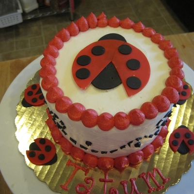 Ladybug Smash Cake
