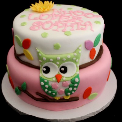Owl Baby Shower Cake!