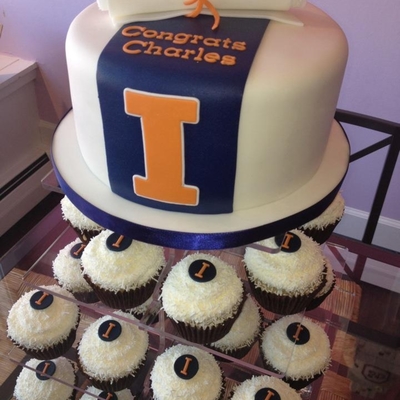 Illinois Graduation Cake From Sweet Discoveries