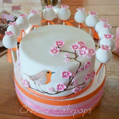 Hand Painted Bird Cake And Cake Pops