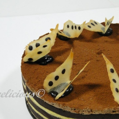 Mousse Cake