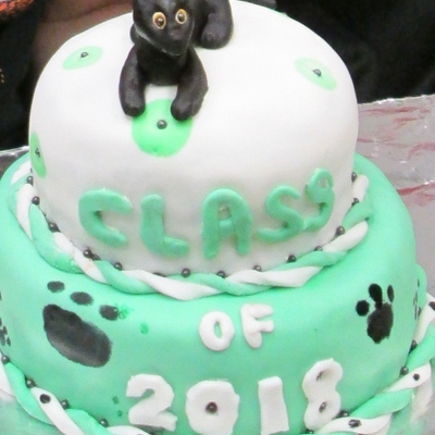 Class Of 2018 Panthers