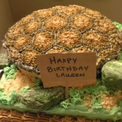 3D Turtle Cake