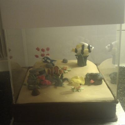 Fish Tank!