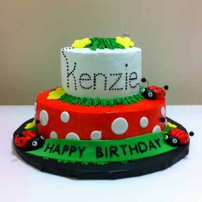 Lady Bug Birthday Cake