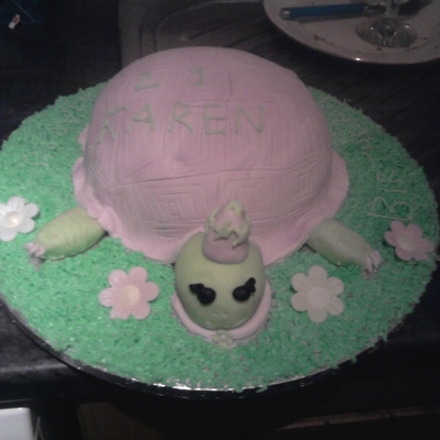 Tortoise Cake