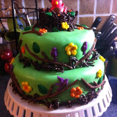 Bird Leaving The Nest!