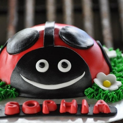 Ladybug Cake