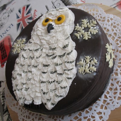 Snowy Owl Chocolate Cake