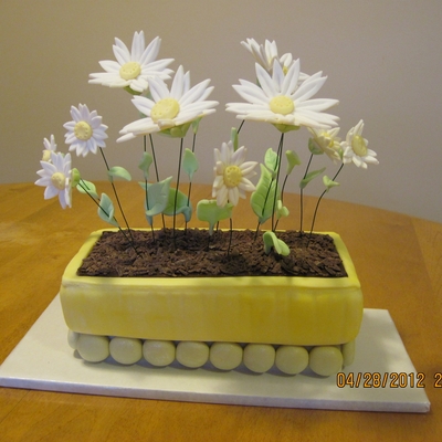 Barb's Mccoy Planter Cake