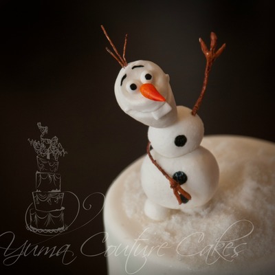 Not A Frozen Cake