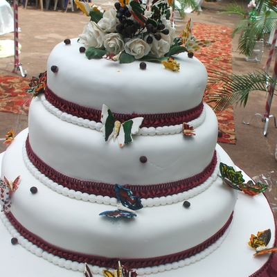 Beautiful Butterflies