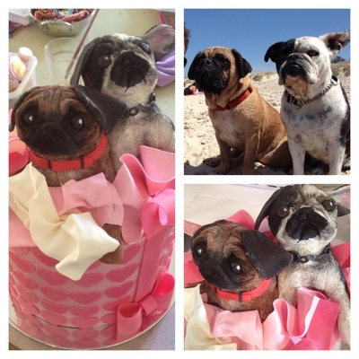 I Love Chocolate Pugs!!