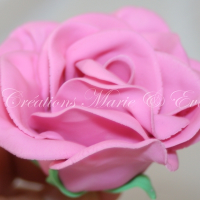 My Firsts Gumpaste Roses