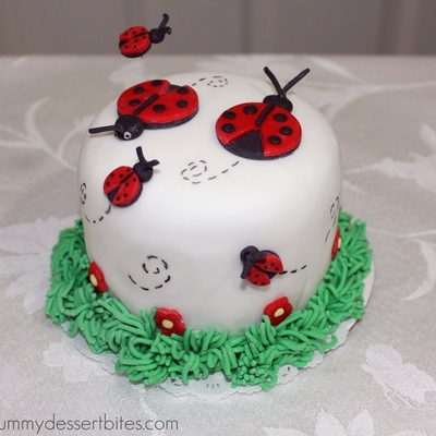 Ladybugs Cake