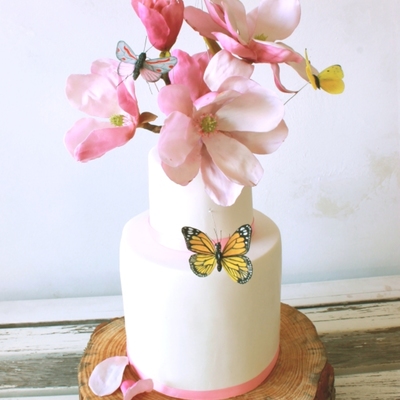 Magnolia Butterfly Cake