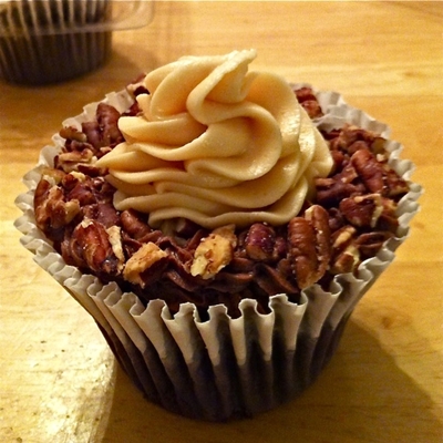 Turtle Mountain Cupcake