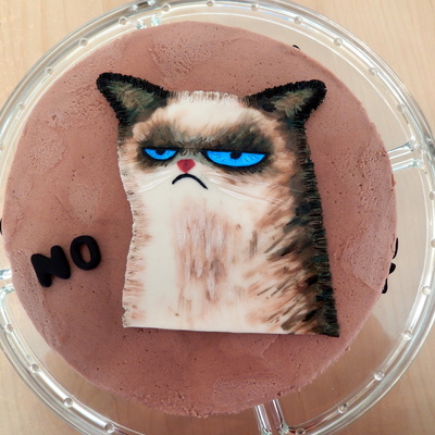Grumpy Cat My First Cake Of The Year I Painted The Cat On Modelling Chocolate I Had Some Fun Firsts With This Cake This Was The First