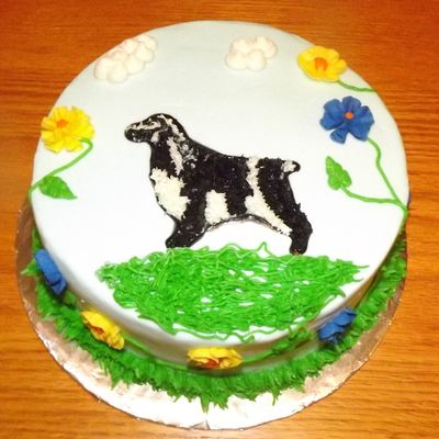 Final Cake For Course 1 11 26 2012Jpg