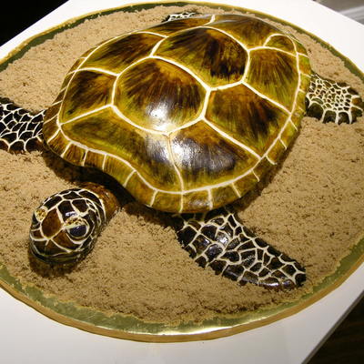 Turtle Cake