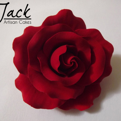 Blood Red Rose