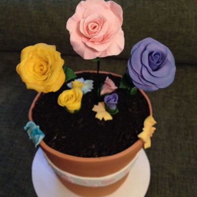 Mother's Day Flower Pot Cake And Cupcake Bouquets