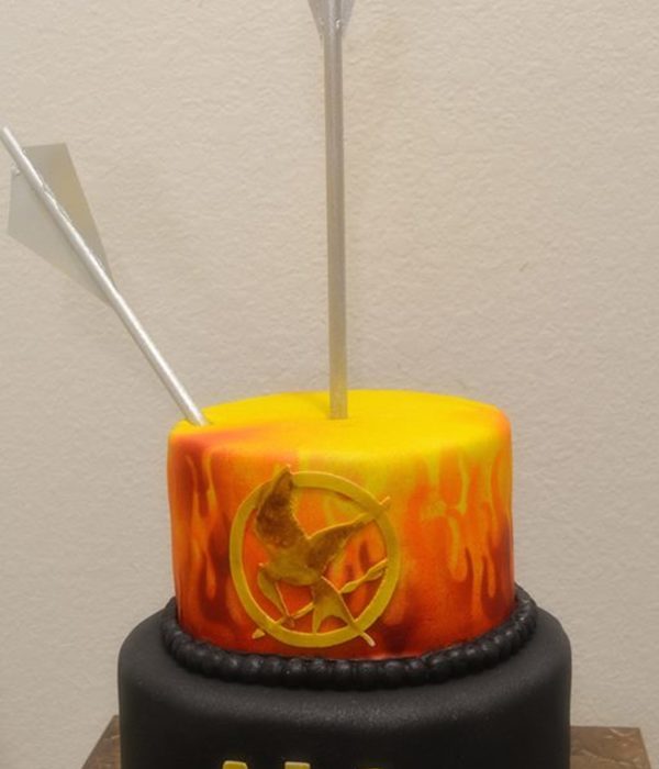 The Hunger Games Cake Decorating Photos