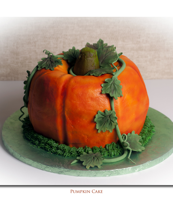 Bundt Cake Decorating Photos