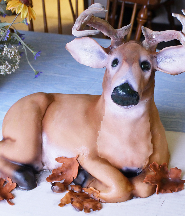 Deer Cake