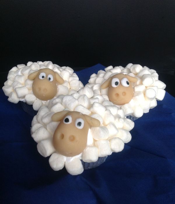 Sheep Cupcakes