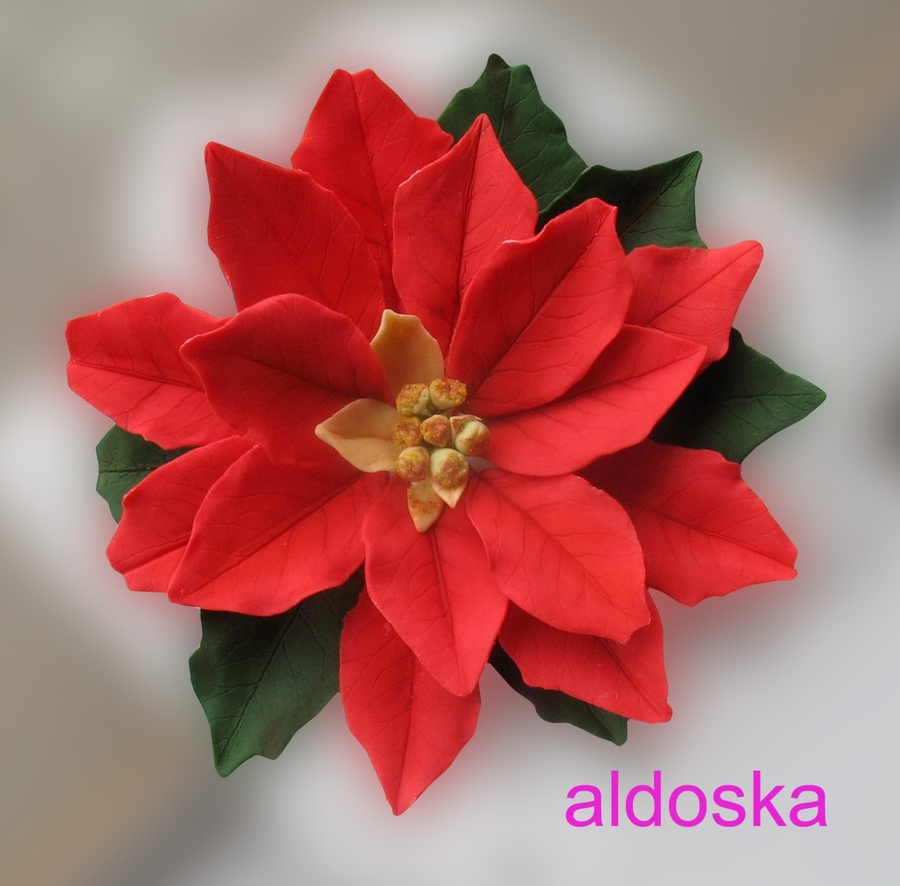 poinsettia tutorial cakecentral com edible christmas ornament