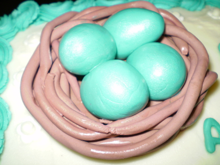 Robin's Egg Baby Shower Cake