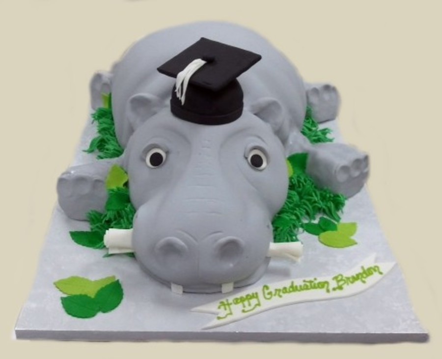 Hippo Graduation - CakeCentral.com