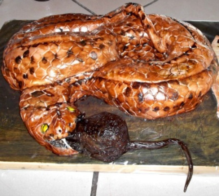 Only Boys Will Make Requests Like These A Snake Cake For My 10 Year