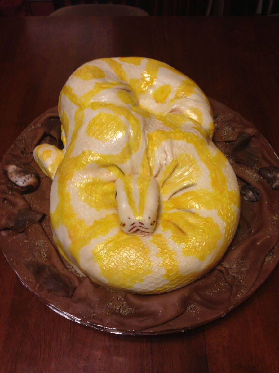 Python Cake Made With Two 9 Rounds Buttercream And Fondant Painted With ...