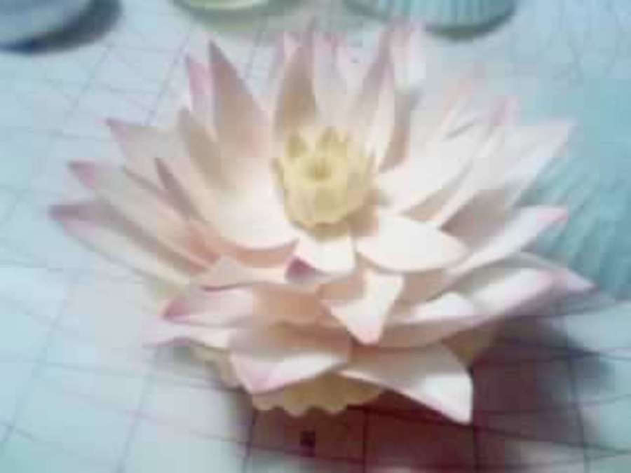 Gum Paste Water Lily