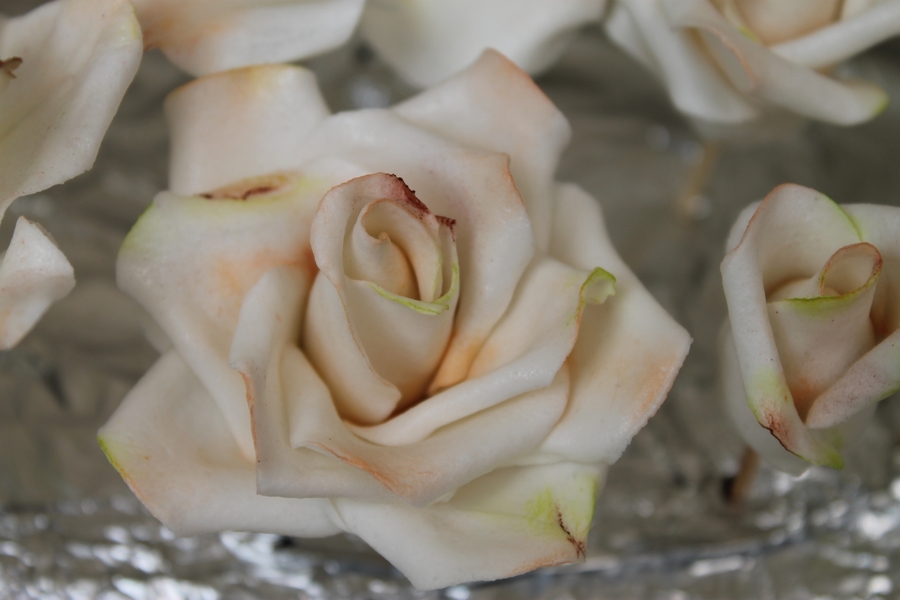 GumFlower Paste Roses