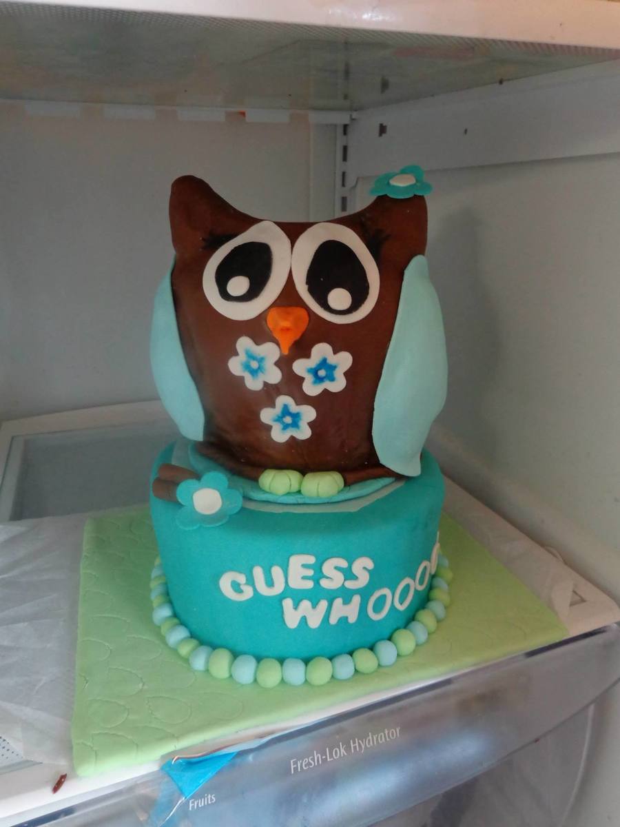 Owl Baby Shower