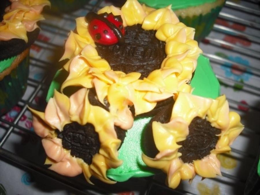 Sunflower Cupcakes