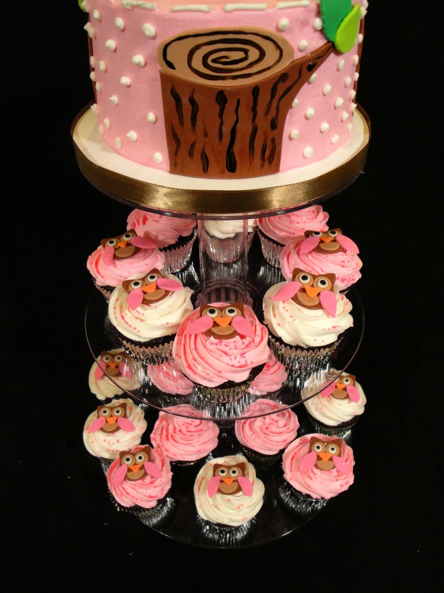 Pink Owl Cake And Cupcakes